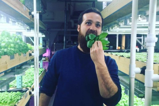 Aquaponic farms nyc Upward Farms Announces World’s Largest Indoor Vertical Farm