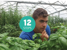 The 12 steps to become an urban or vertical farmer