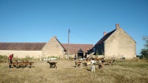Les 13 Bles Goatfarming and fromagerie