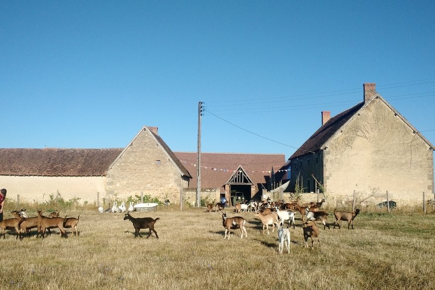 Les 13 Bles Goatfarming and fromagerie