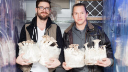 SmallHold mushroom farming New York