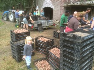oostgoed Community Supported Agriculture