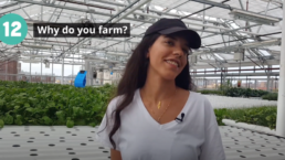 Yara Nagi Sky Vegetables Rooftop Farm Bronx New York 12 steps to urban farming
