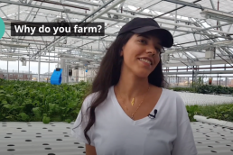 Yara Nagi Sky Vegetables Rooftop Farm Bronx New York 12 steps to urban farming