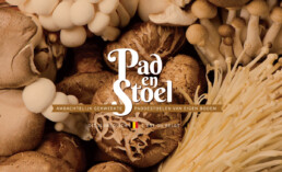 Pad en Stoel urban mushroom farming
