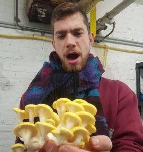 Zjef Van Acker yellow oyster mushroom pad en stoel 12 steps to farming