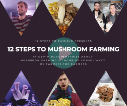 12 steps to mushroom farming