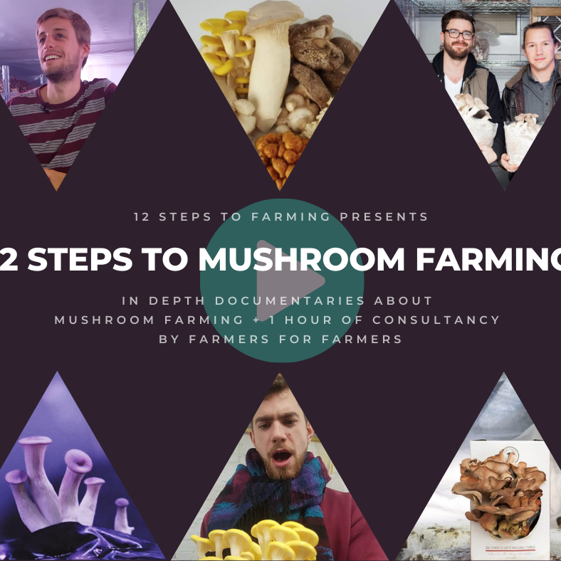 12 steps to mushroom farming