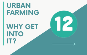 12 steps to urban farming