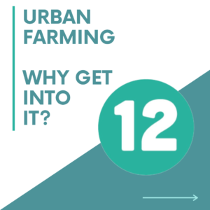 12 steps to urban farming