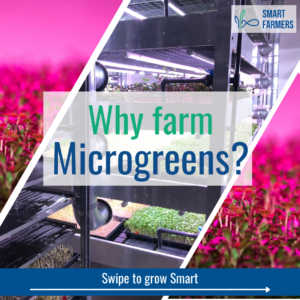 Smart Farmers 12 steps to farming Why farm microgreens